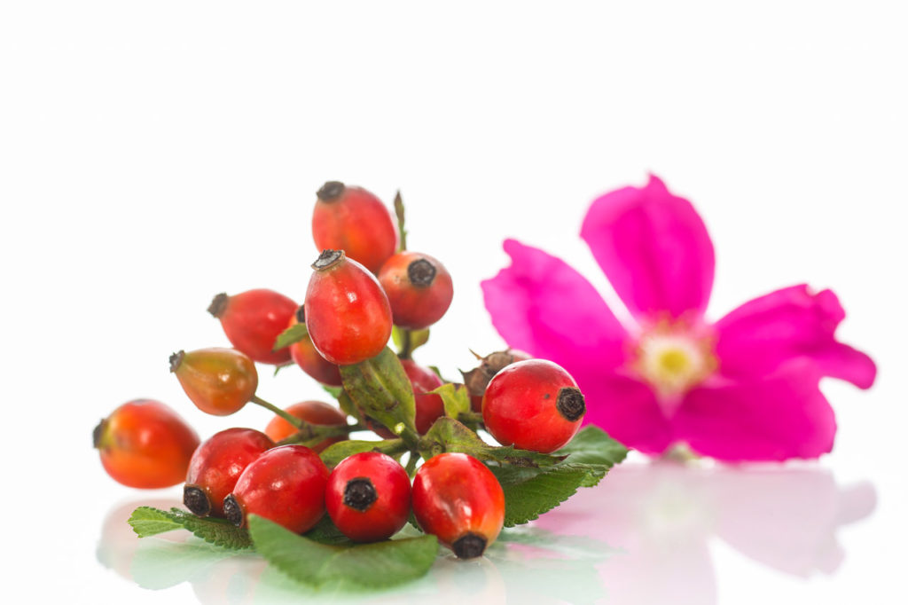 l'olio di rosa mosqueta