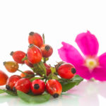 Tutti i motivi per usare l’olio di rosa mosqueta
