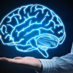 Un’occupazione che tiene acceso il cervello potrebbe proteggere dalle demenze