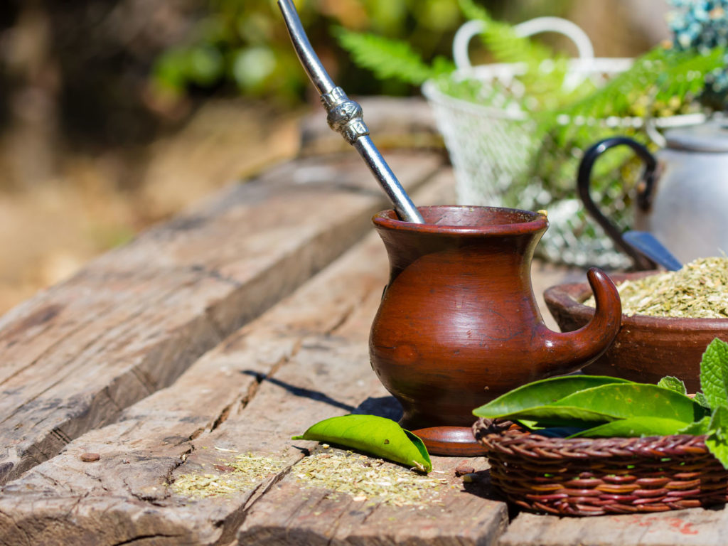 yerba mate