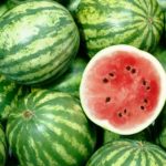 Anguria. Tutti gli impieghi del frutto dell’estate