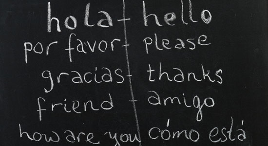 Come funziona il bilinguismo
