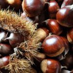 Agroalimentare in Toscana: modifiche al Psr su benessere animale e castanicoltura