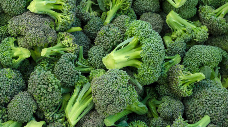 i benefici dei broccoli