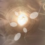 Innalzata l’età massima per la procreazione medicalmente assistita in Alto Adige