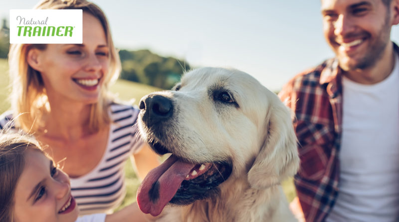 Natural Trainer cane con famiglia