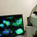 Ecco il primo Ambulatorio di patologia eredo-familiare femminile