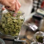 Marijuana: tema complicato soprattutto in materia di sicurezza nelle strade