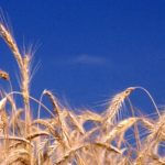 Etichettatura: fare chiarezza totale e definitiva