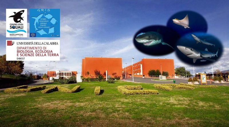 European Elasmobranch Association Meeting 2019