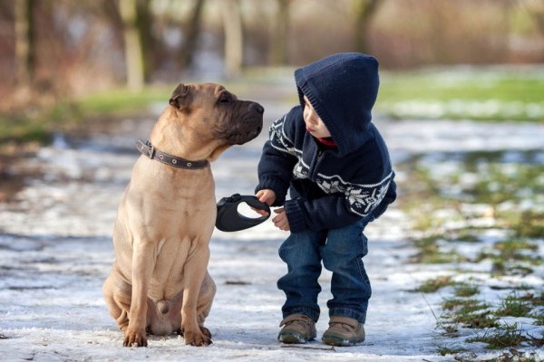 effetti benefici dei cani sui pazienti