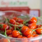 La nutraceutica del food: cibi funzionali e tecniche di cucina innovativa