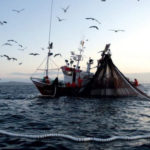 La pesca elettrica sarà vietata anche nel Mare del Nord