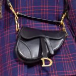 Intramontabile Saddle bag di Dior