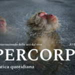Ipercorpo: il festival internazionale delle arti dal vivo a Forlì