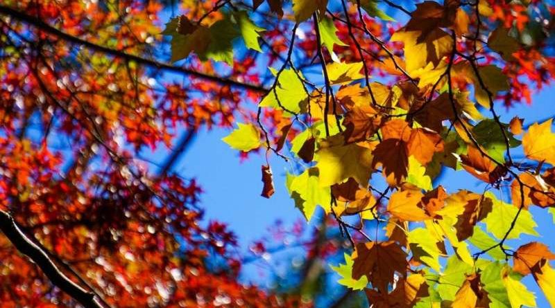autunno