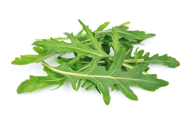 la rucola