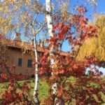 Come aprire un Bed and Breakfast e guadagnare