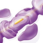 Sclerosi multipla: individuate le cellule che ne consentono lo sviluppo