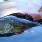 Esame di pesca superato da 154 nuovi pescatori bolzanini
