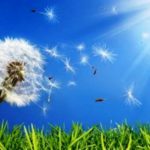Allergie: combatterle con le pulizie adeguate