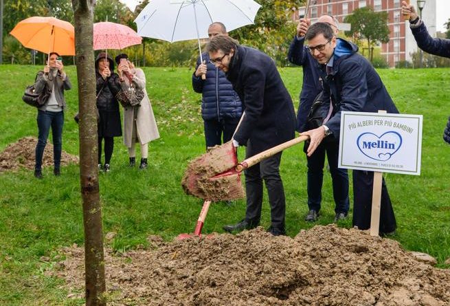 Mellin - nuovi alberi per le famiglie di Torino