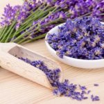 Lavanda: scopri tutte le proprietà benefiche e curative