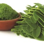 La moringa è forte e resistente e dalle mille prioprietà