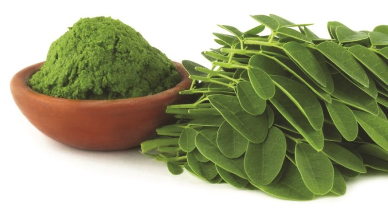 Moringa