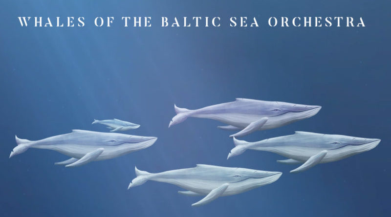 Whales of the Baltic Sea Orchestra