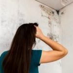 Muffa sui muri: ecco i rimedi e metodi più efficaci per eliminarla
