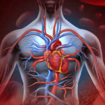 Sistema cardiovascolare: quando può darci preoccupazioni