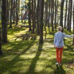 Il verde è il colore della tranquillità e delle emozioni positive