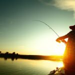 La Regione stanzia somme per i pescatori professionisti laghi lombardi