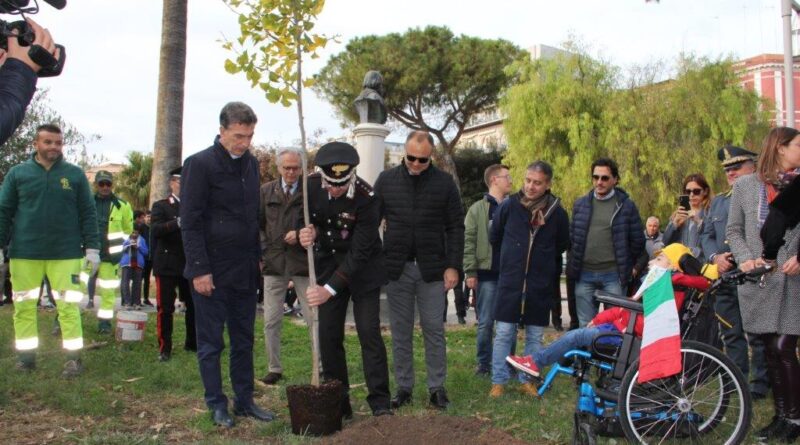 festa Albero Barletta - immagine Comune