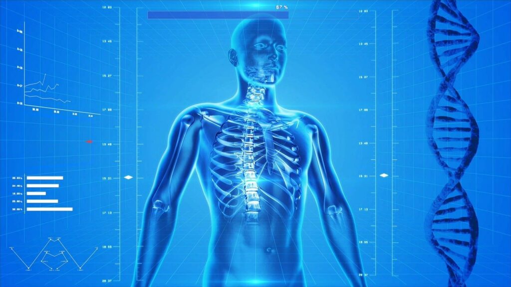 osteoporosi - Foto di PublicDomainPictures da Pixabay