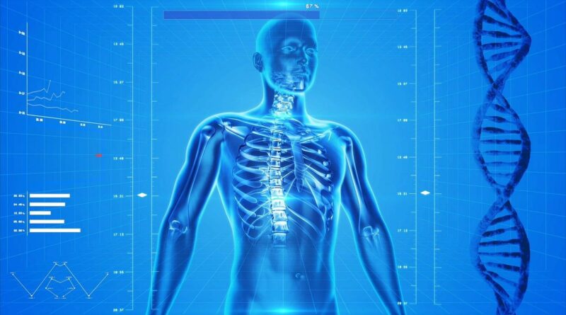 osteoporosi - Foto di PublicDomainPictures da Pixabay