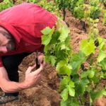 La famiglia Moratti firma un nuovo capitolo del suo umanesimo vitivinicolo con una cantina a Neoneli