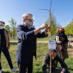 Torino. Messi a dimora gli alberi donati dalla Stratorino e da Nova Coop
