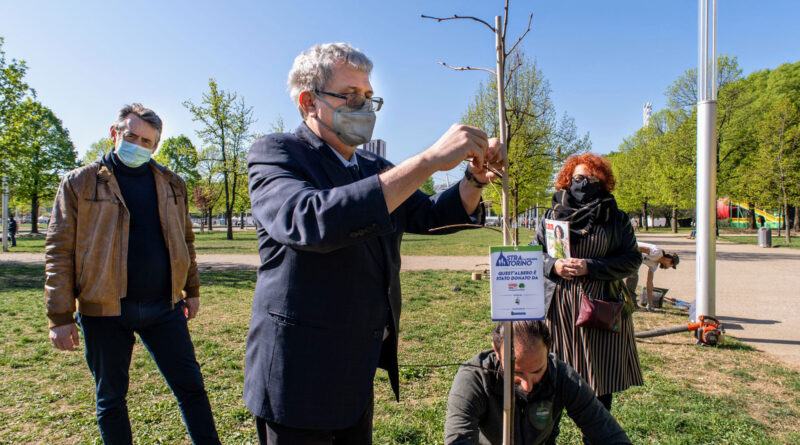 Piante Stratorino - ph ufficio stampa comune di Torino