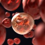 Il tassello mancante che spiega come proliferano le cellule tumorali