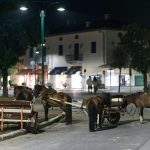 A Forte dei Marmi,  CINEMADAMARE : 30 paesi , 5 continenti , 50 giovani cineasti , 96 ore di immersione nel cinema dall’11 al 14 luglio