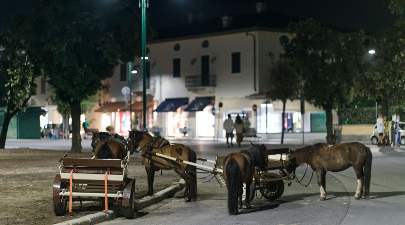 Cavallini Forte dei Marmi CinemaDaMare