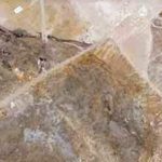 Bolca: nuovi eccezionali ritrovamenti al Museo di Storia Naturale di Verona
