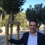 Arriva anche a Pisa il progetto che consente a cittadini e imprese di ottenere gratis piante di olivo da piantumare nei propri terreni