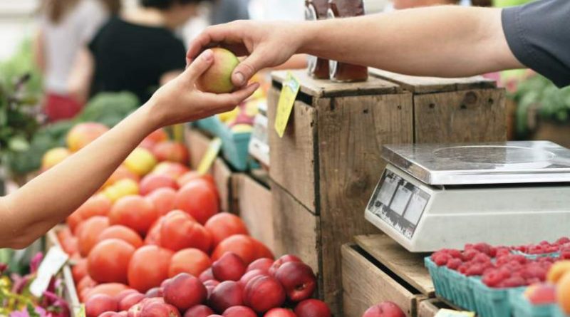 pucci alimentazione