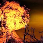 Italia secondo paese al mondo per numero di incendi registrati lo scorso anno
