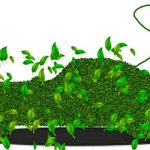 Fondi per favorire la mobilità elettrica in Basilicata