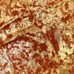 All’Ambasciata del Brasile inaugura la mostra “Genesi. Spirito e Materia” di Ana Biolchini, Flaminia Mantegazza, Luciana Pretta Fiore