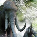 La Cia sperimenta nuove tecnologie di editing del Dna per far resuscitare specie estinte